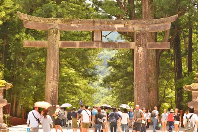 DSC_3847 (Large).JPG